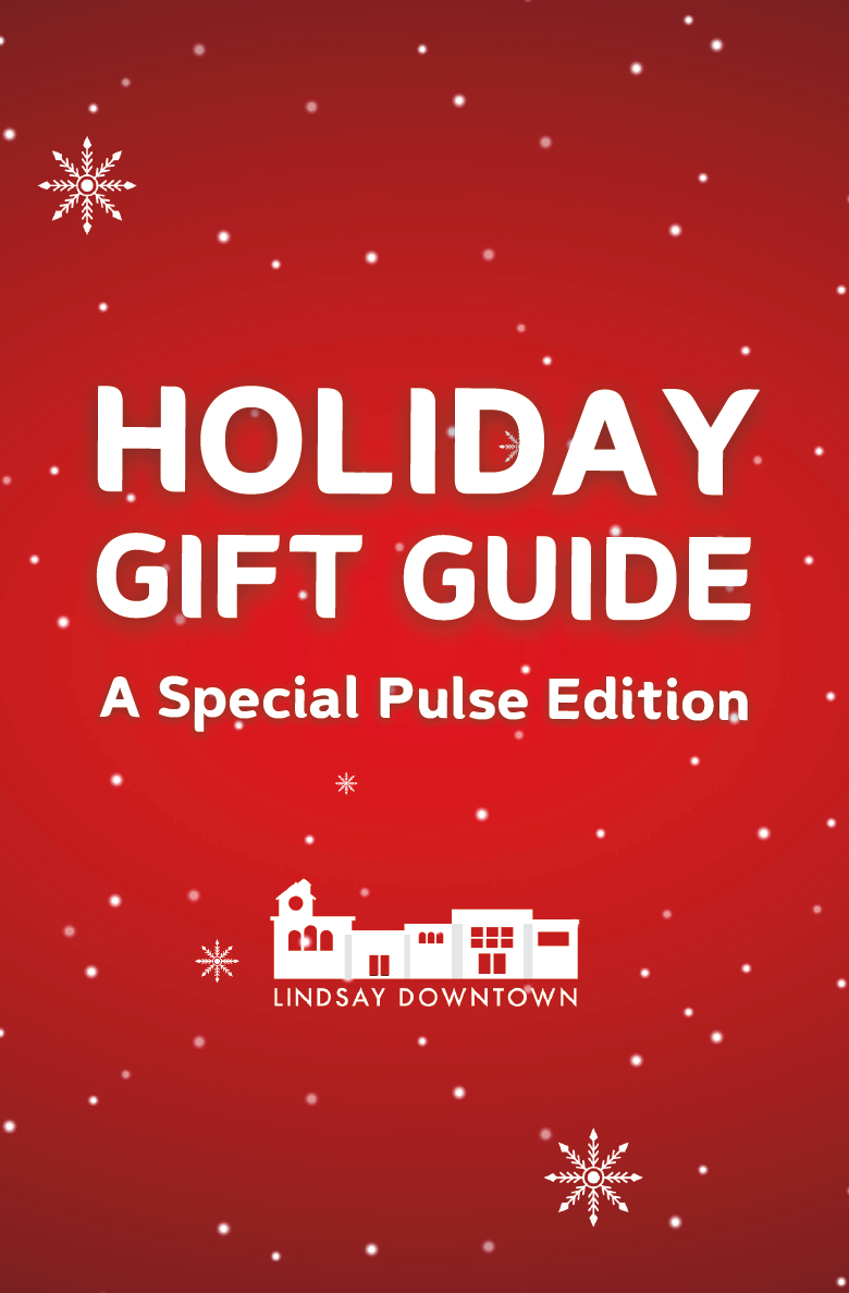 Pulse Holidays 2025