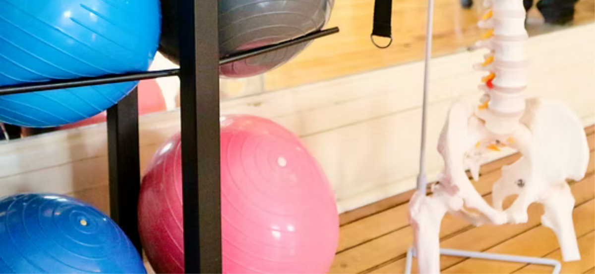 Zoom Physiotherapy