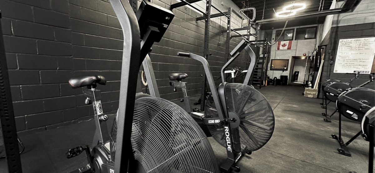 The Market Gym