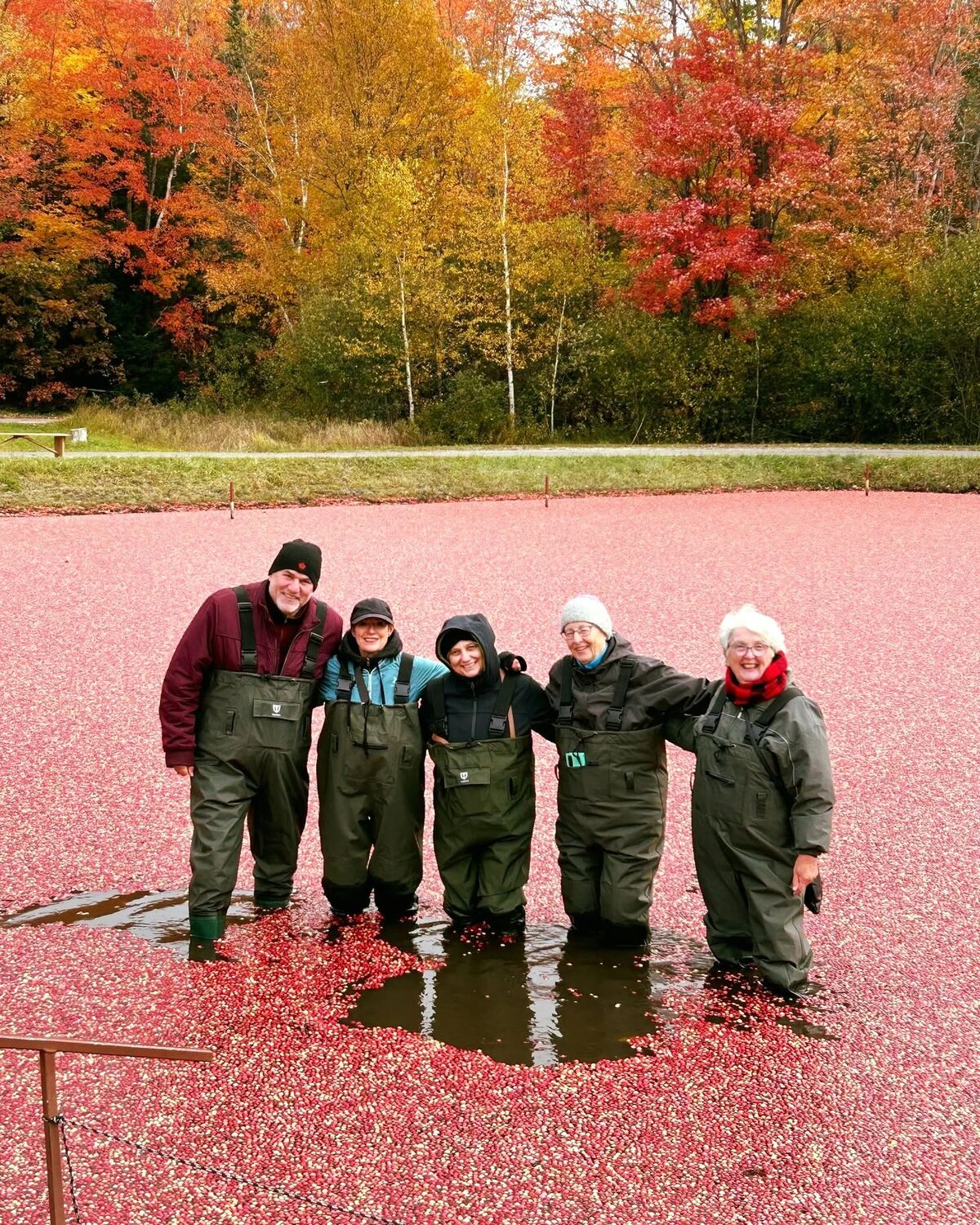 Cardinal Lakeshore Tours