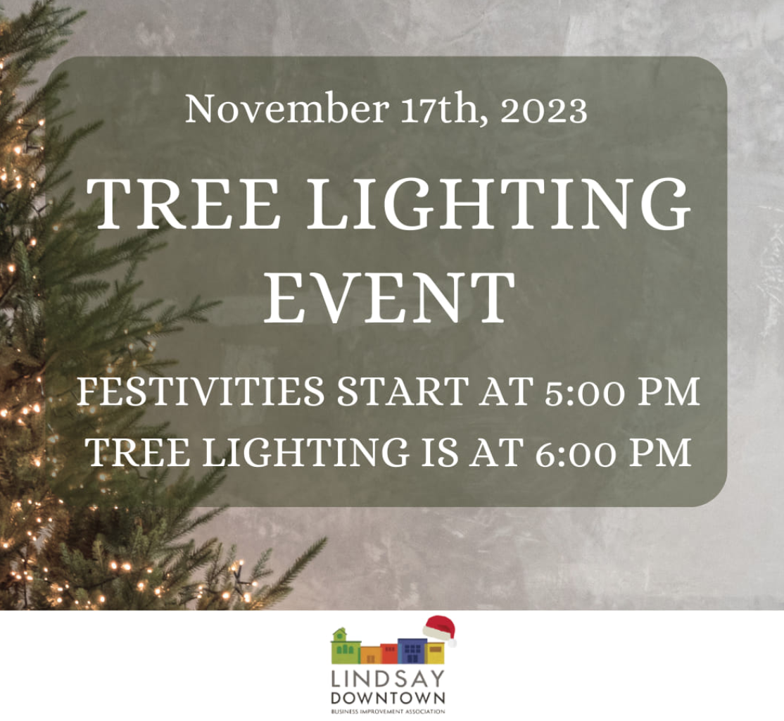 Tree Lighting hero