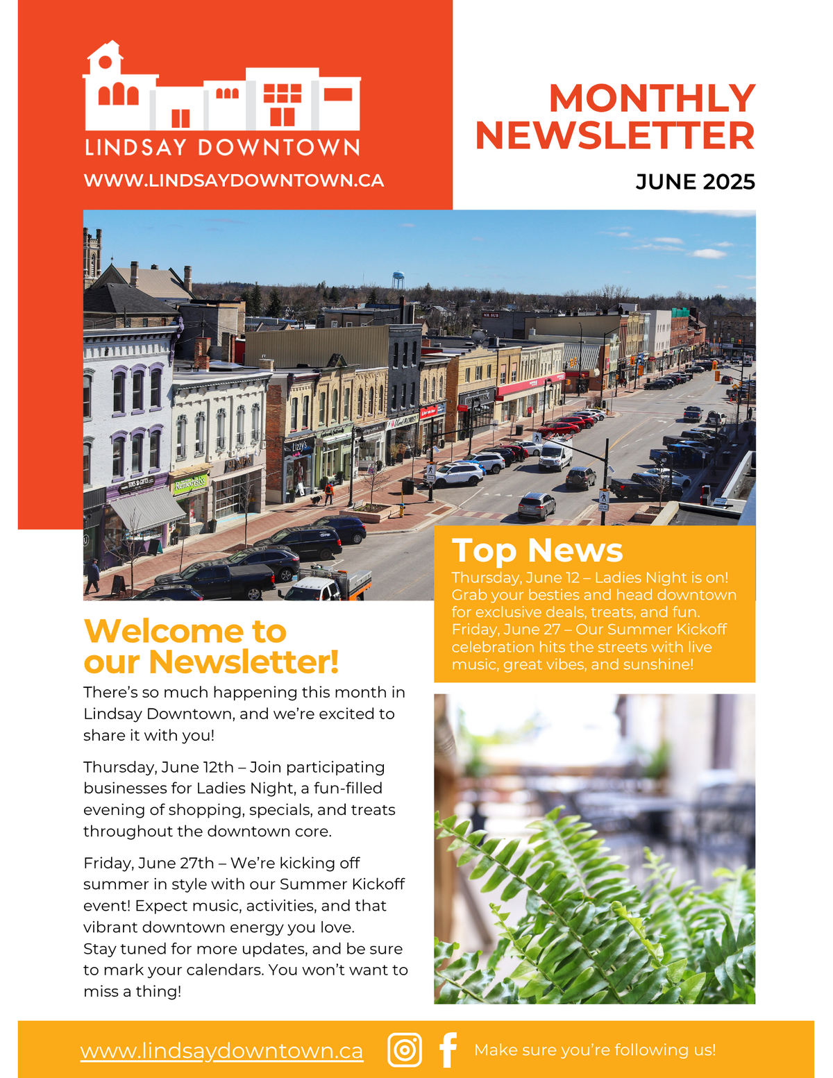 June 2025 Newsletter hero