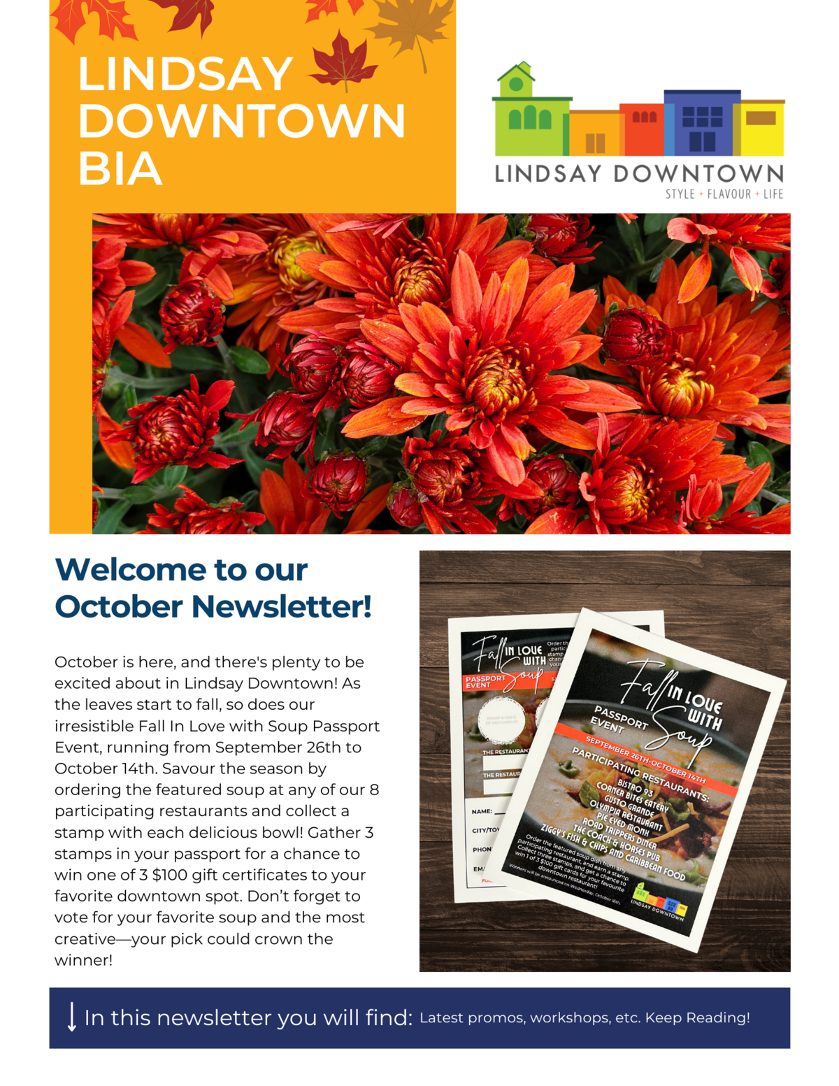 October 2024 Newsletter hero