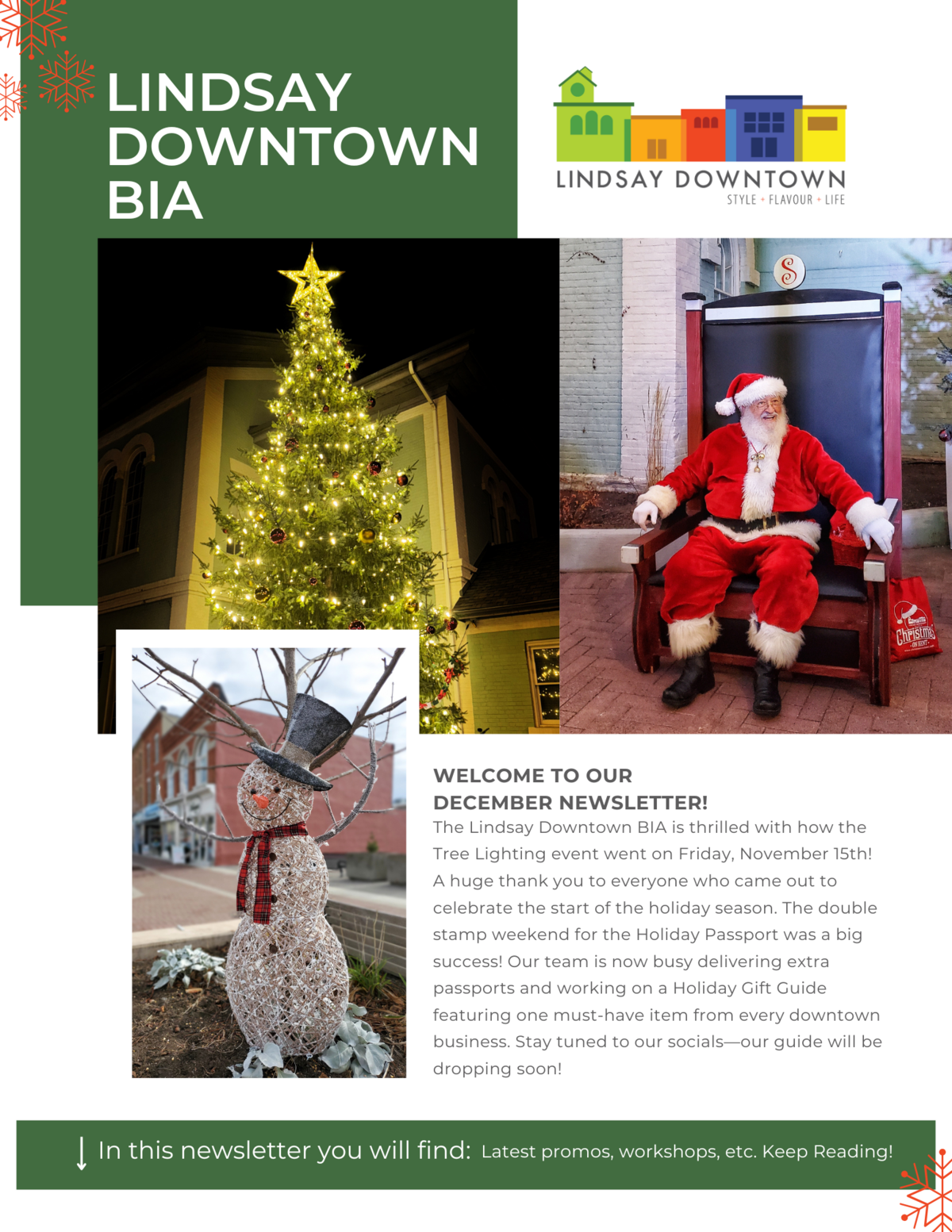 December 2024 Newsletter hero