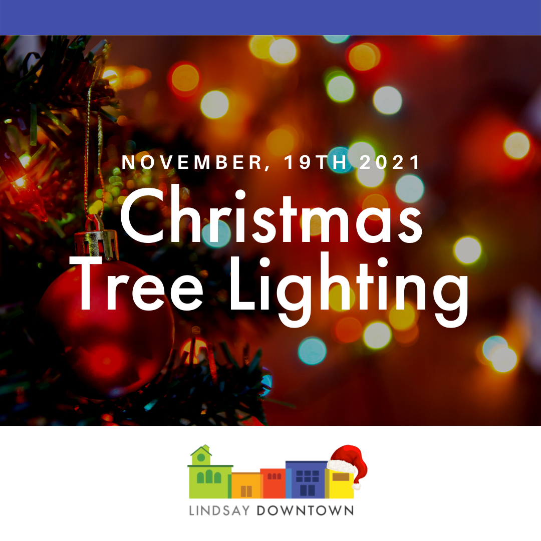 Christmas Tree Lighting hero